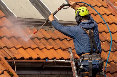 Démoussage et hydrofuge de toiture au Rialet